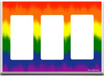 triple decora switch plate